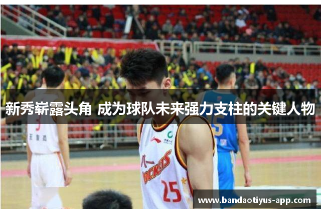 新秀崭露头角 成为球队未来强力支柱的关键人物