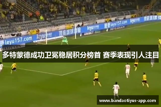 多特蒙德成功卫冕稳居积分榜首 赛季表现引人注目