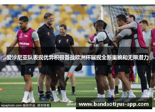 爱沙尼亚队表现优异积极备战欧洲杯展现全新面貌和无限潜力