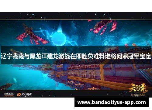 辽宁鑫鑫与黑龙江建龙激战在即胜负难料谁将问鼎冠军宝座