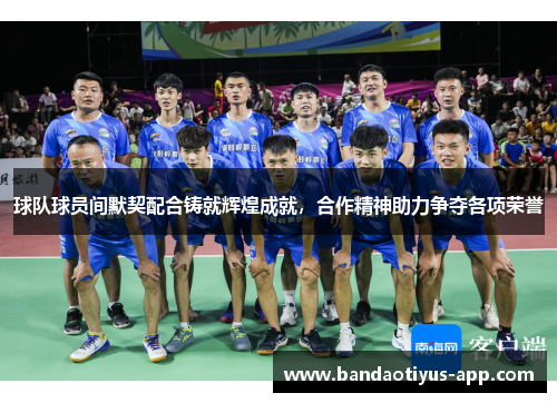 球队球员间默契配合铸就辉煌成就，合作精神助力争夺各项荣誉