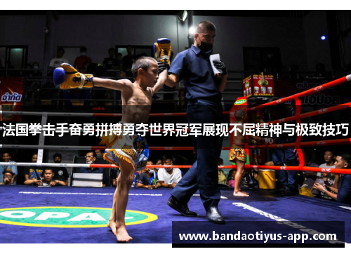 法国拳击手奋勇拼搏勇夺世界冠军展现不屈精神与极致技巧