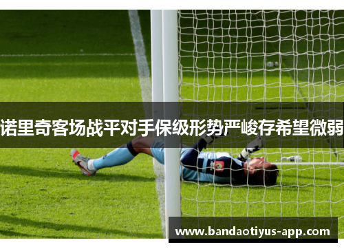 诺里奇客场战平对手保级形势严峻存希望微弱