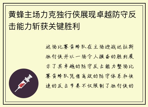 黄蜂主场力克独行侠展现卓越防守反击能力斩获关键胜利