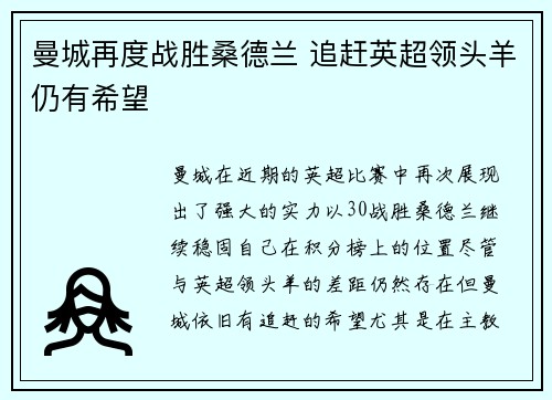曼城再度战胜桑德兰 追赶英超领头羊仍有希望
