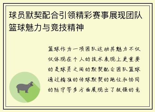 球员默契配合引领精彩赛事展现团队篮球魅力与竞技精神