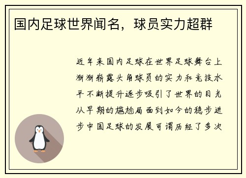 国内足球世界闻名，球员实力超群