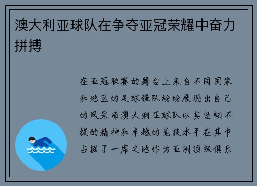 澳大利亚球队在争夺亚冠荣耀中奋力拼搏