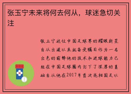 张玉宁未来将何去何从，球迷急切关注